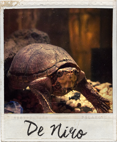 DE NIRO