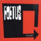 Foetus