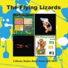 Flying Lizards