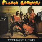 Flamin' Groovies