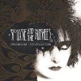 Siouxsie & the Banshees